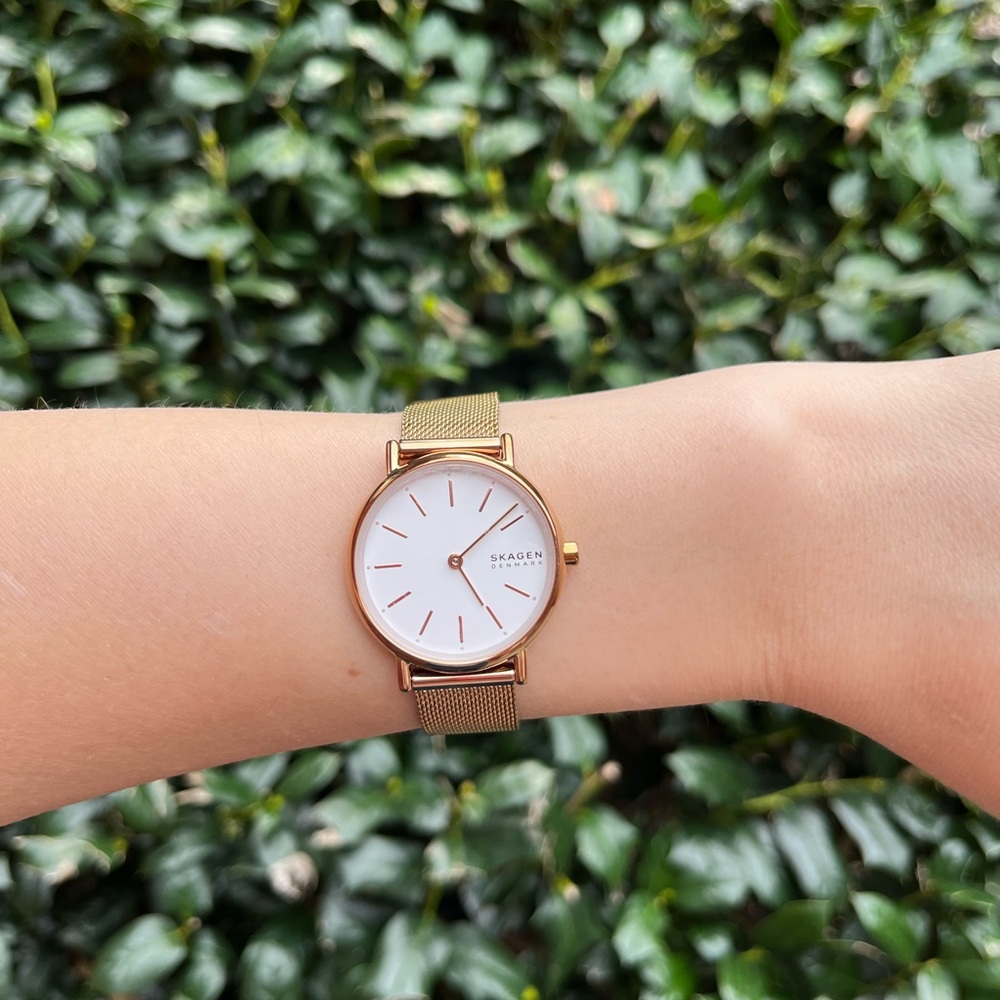 Skagen Women's Gold Mesh Watch